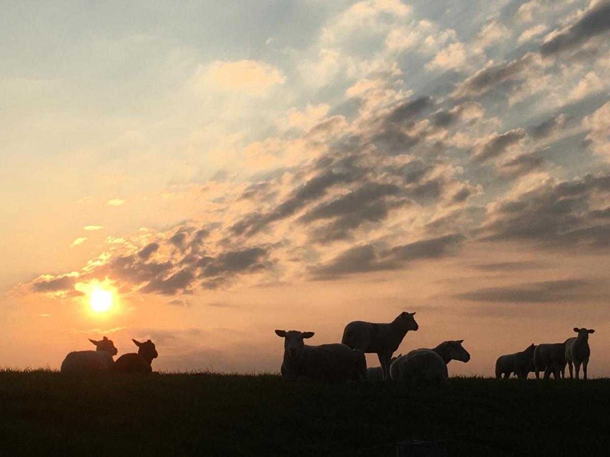 Annemaries Nordseehaus บุทยาดิงเงน ภายนอก รูปภาพ